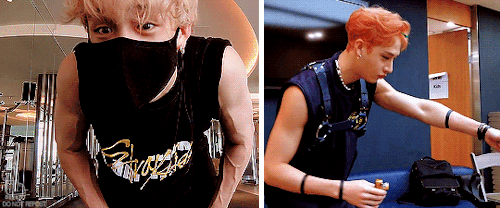 @anon: Chans Arms Vs Chans Abs| Make Me Choose