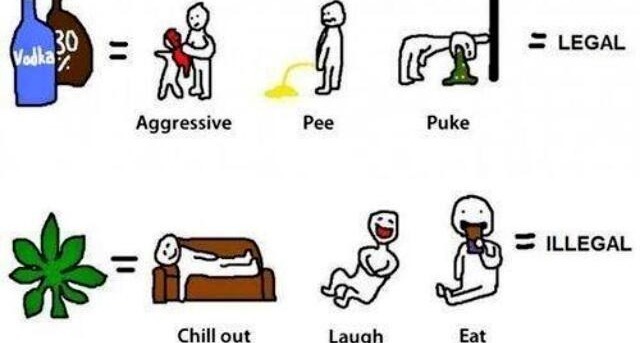o-holy-weed:  chillumm:  So true though  dumb as fuhhhh 