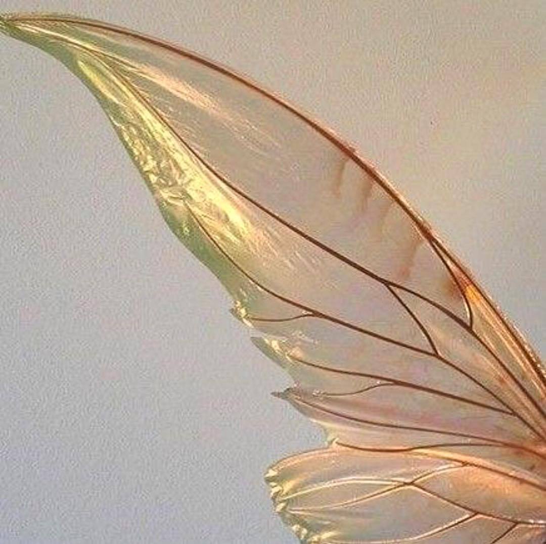 Angel On Earth