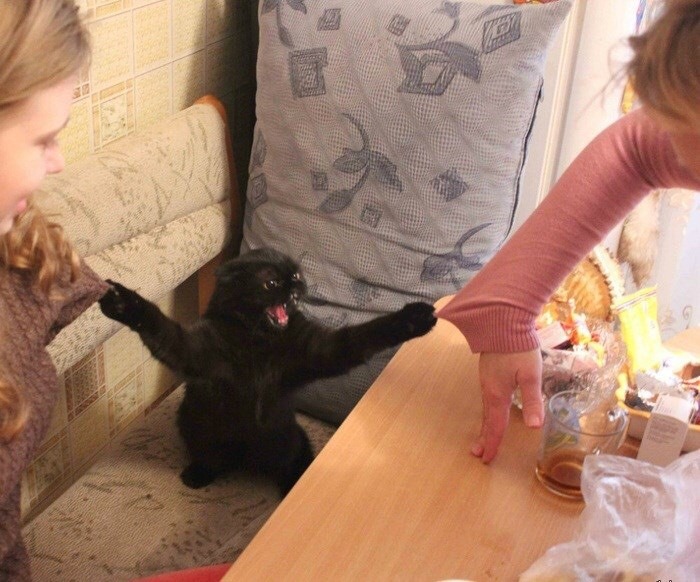 daughterhood:  Me trying to connect seretonin molecules to my neurotransmitters 
