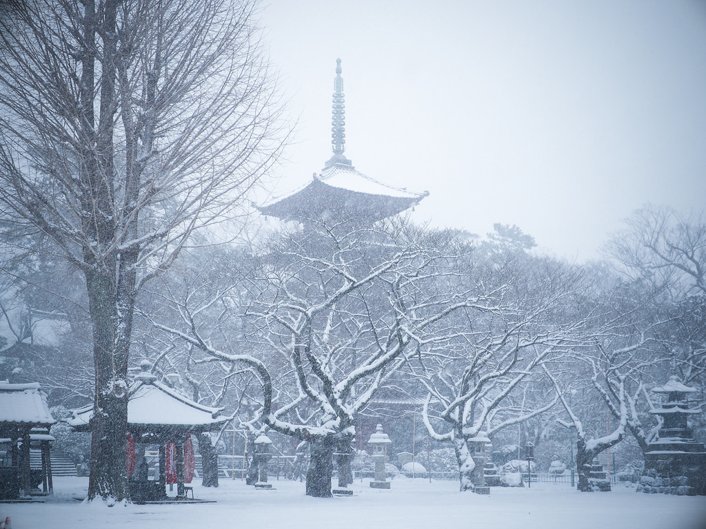 okuribito:  snowy temple or temple in snow 3 (by torne (where’s my lens cap?))