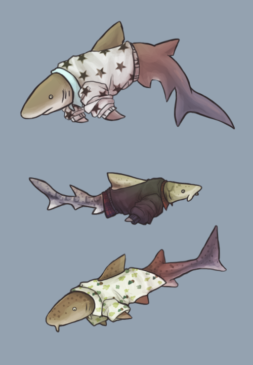kingarkay:@seidurs suggested i draw sharks in shirts so here they are