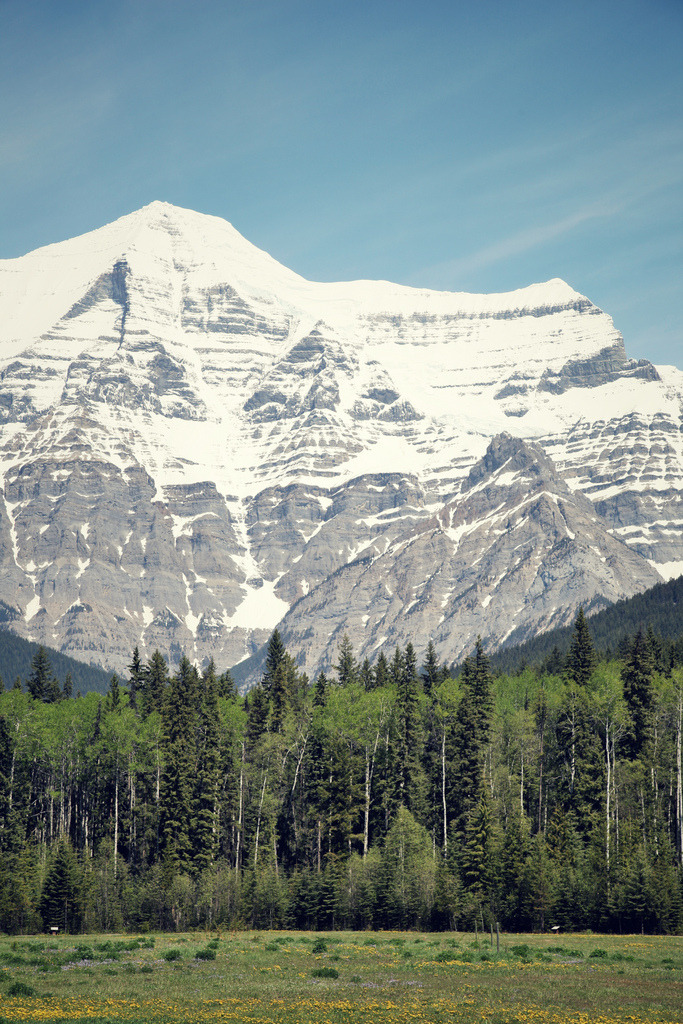 eartheld:  mostly nature