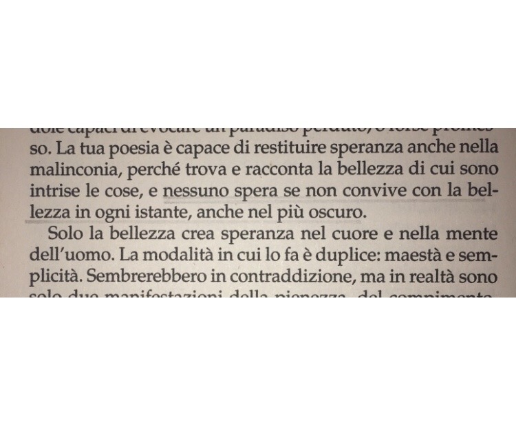 Riccardo on Tumblr: “Nessuno spera se non convive con la bellezza in ogni  istante, anche nel più oscuro” Alessandro D'Avenia, “L'arte di essere