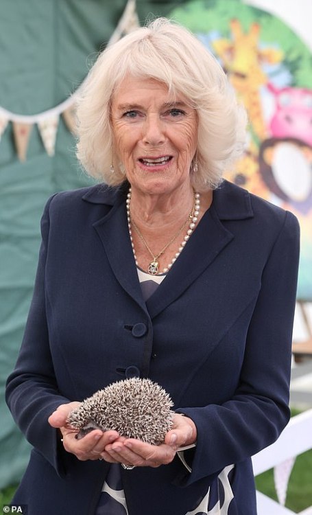 The Prince of Wales and The Duchess Of Cornwall visit The Great Yorkshire Showground, Harrogate, 14.