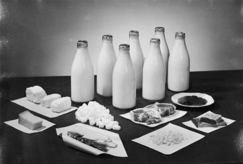 Two people’s weekly ration of milk (3 pints), bacon (113g), lard (113g), sugar (227g), butter 