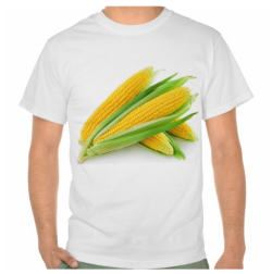 daffodiled:  Just ordered my new crop top!