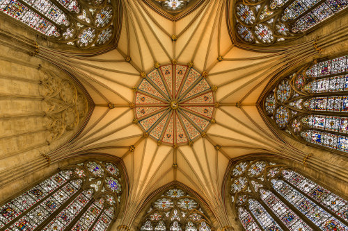 The Chapter House, York Minster by DaveHorton_ flic.kr/p/2hDsEjr