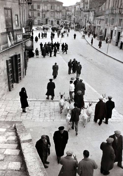Mario De Biasi - Le berger, Sicile, c. 1950.