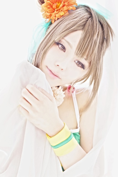 Kotori Minami (HD)- Honma