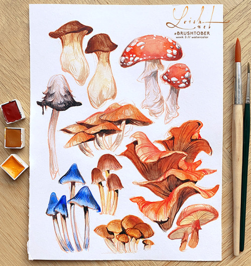 loish:I spent today painting mushrooms for #brushtober while listening to podcasts, and it was just so soothing. I need to do this more often! 