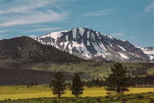expressions-of-nature:by Saksham Gangwar