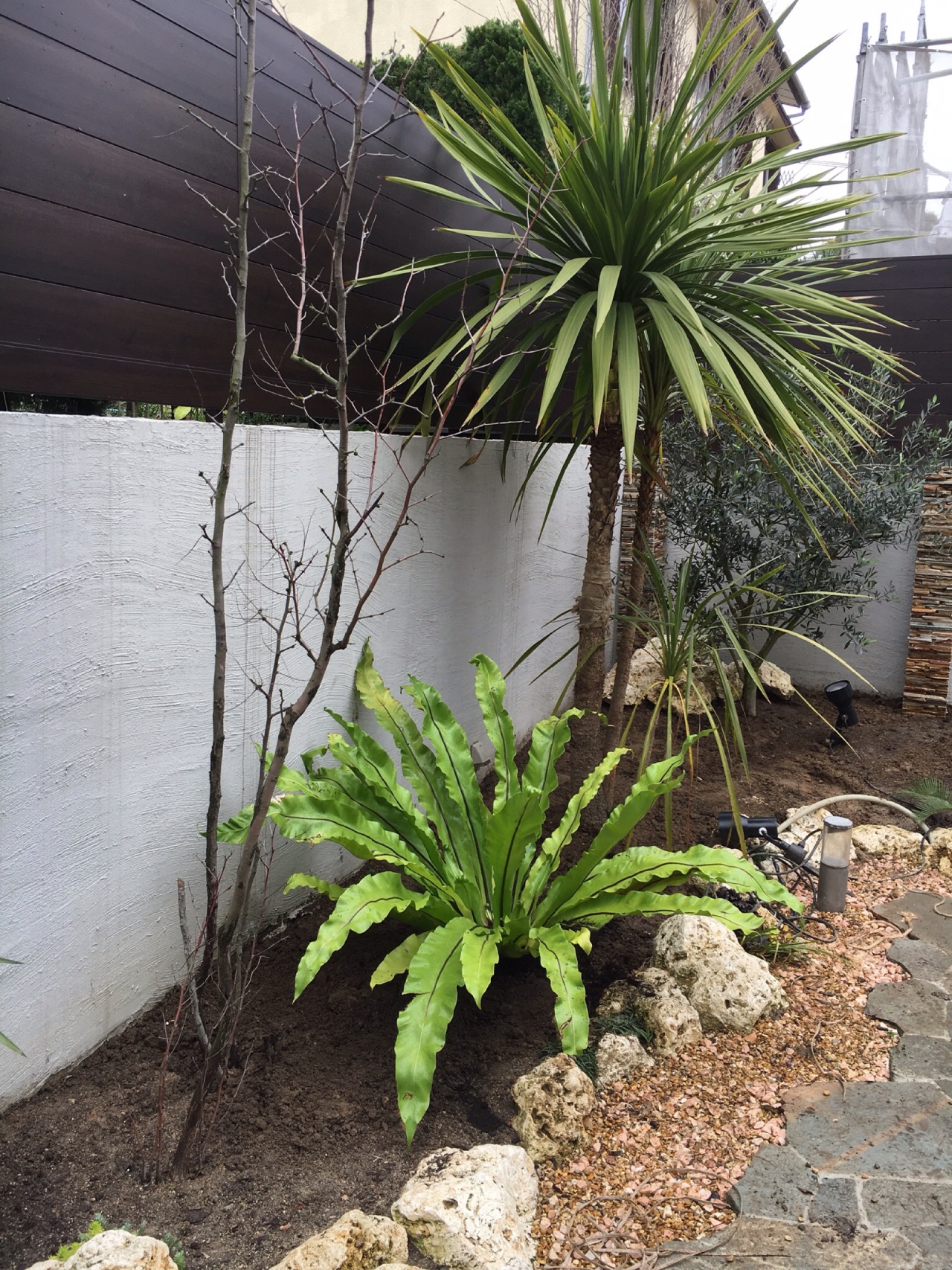 久留米のおしゃれな植木屋さん Santa Ana Garden Gardening 本日は 福岡市のお客様の所へ植え込み に行ってきました