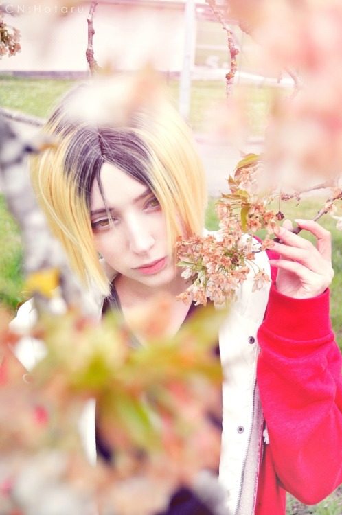 One spring day ✾❁❃Kenma Kozume (Haikyuu): HotaruI love spring, finally I was able to take some photo