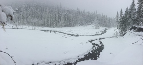 Wonderland TrailMt Rainier Natl Park