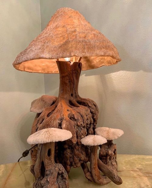 disease:1970s mushroom lamp