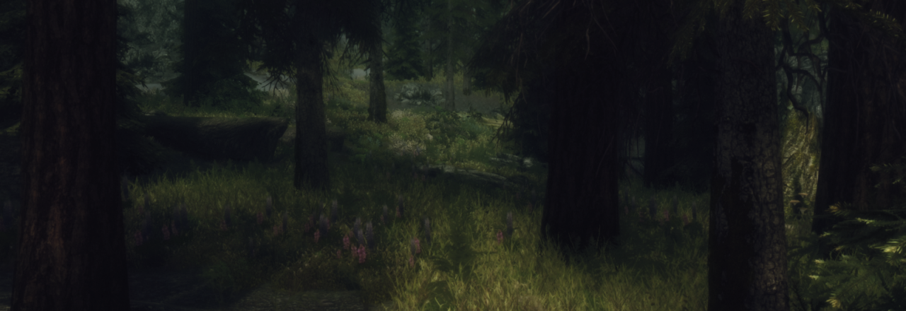 ofmiceandmystics:  Skyrim | A Walk in the Woods   Mods my friends