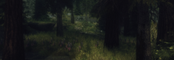 Ofmiceandmystics:  Skyrim | A Walk In The Woods   Mods My Friends