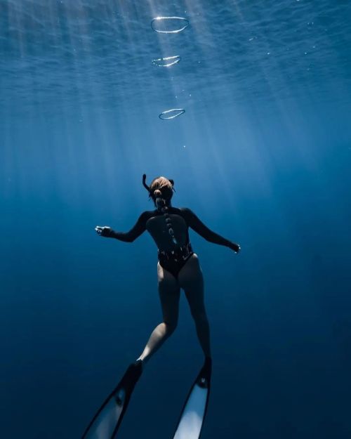 spearfishing-freediving-world: Beautiful Reposted from @monets.mems rings and rays  follow us  @spea