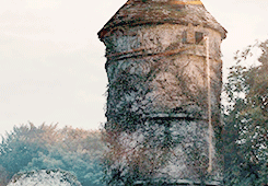 astrcnette:rose-and-valerie:lgbt disney   ♔ ♔ ♔   tangled As an infant, Princess Rapunzel was kidnap