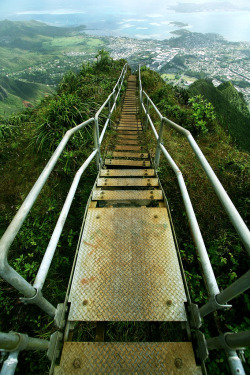 brutalgeneration:  Haiku Stairs - Stairway