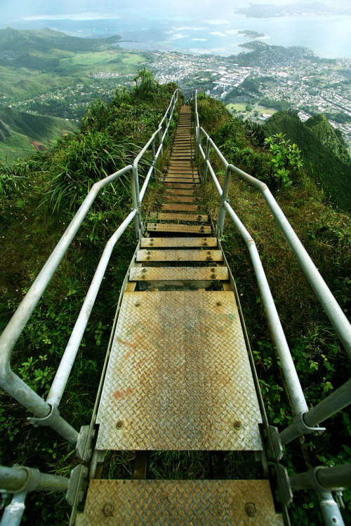 brutalgeneration:  Haiku Stairs - Stairway to heaven (by Priit Siimon) 