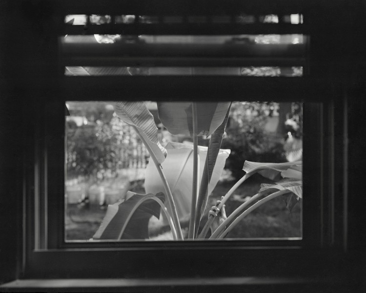 ericmarth:  Very pleased to discover the work of Allison Barnes this morning.  
