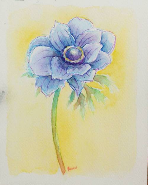 Blurple #watercolor #watercolour #painting #illustration #doodle #anemone #flower