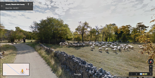 googlesheepview: Ervenik, Croatia Submitted by illwearmybluedress