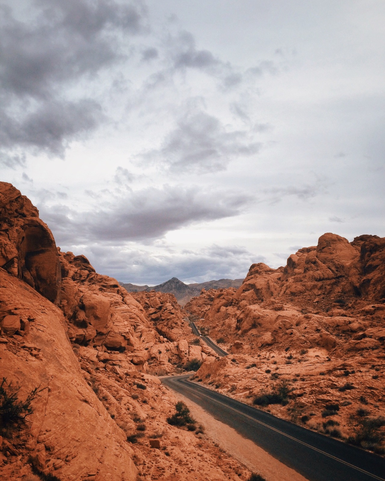 danielodowd:  Morgan Phillips