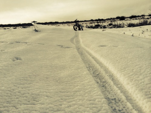 First ride on the Borealis Yampa in the Snow. 