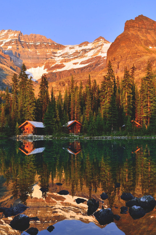 wnderlst:  Yoho National Park, Canada | Shuchun Du 