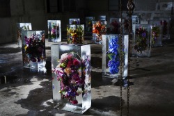 hypebeast:  Iced Flowers by Azuma Makoto