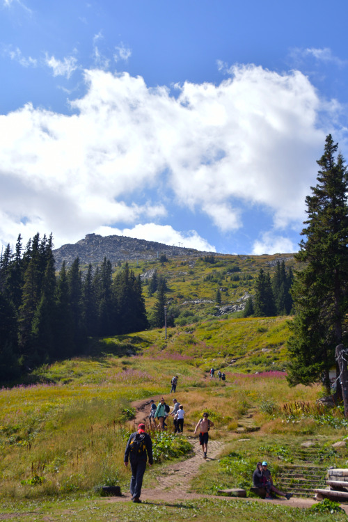 Vitosha mountain, Bulgaria | September 2021