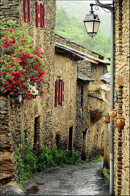 kingsxcrossing:  gatsbywise:  romanceoftheworld:  Évol — France    ♡ Thank you