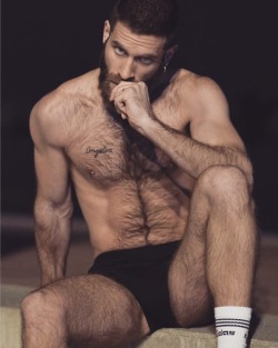 hairy nice men