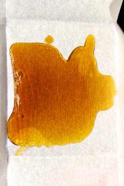 thctara:  Skunk #1 shatter