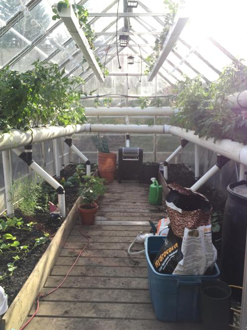 DIY hydroponic greenhouse in Calgary, Alberta, Canada (zone 3) by /u/S1l3ntdr3amsMore photos here. D