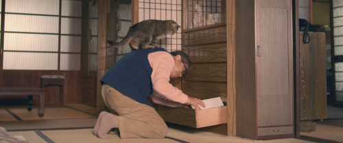 idleminds:The Island of Cats (2019) ‘ねことじいちゃん’ dir. Mitsuaki Iwago