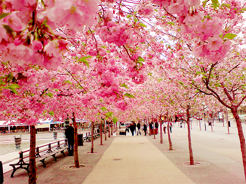 Live it Up | via Tumblr en We Heart It. http://weheartit.com/entry/69028863/via/selma_husnic 
