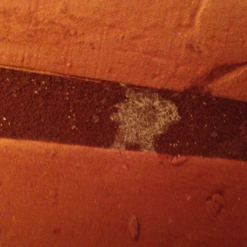 lazorbabies:i m really high but doeesnt this spot on my floor look like sanic the heghoge