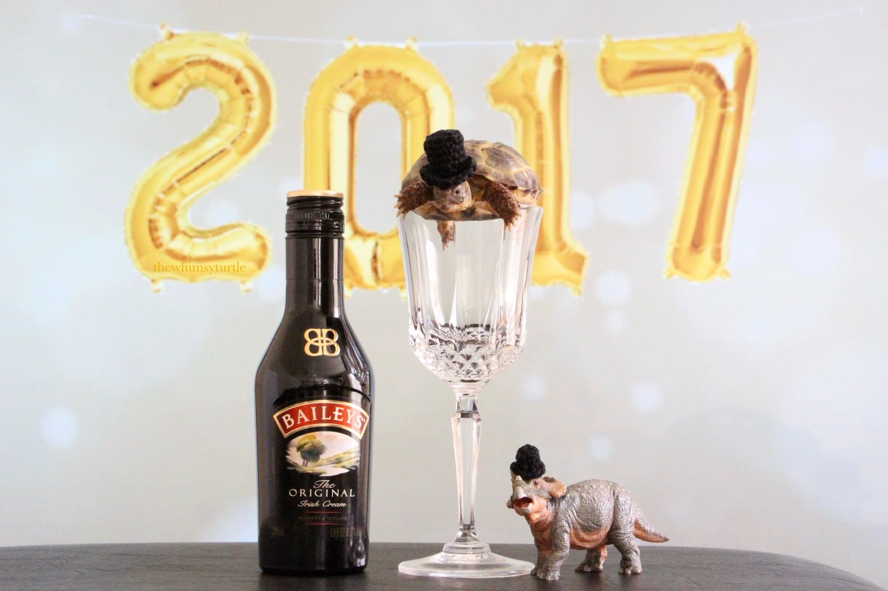 thewhimsyturtle:  thewhimsyturtle:  🎉🎩🐢  Happy New Year, Tumblr!  🥂🍾🎊