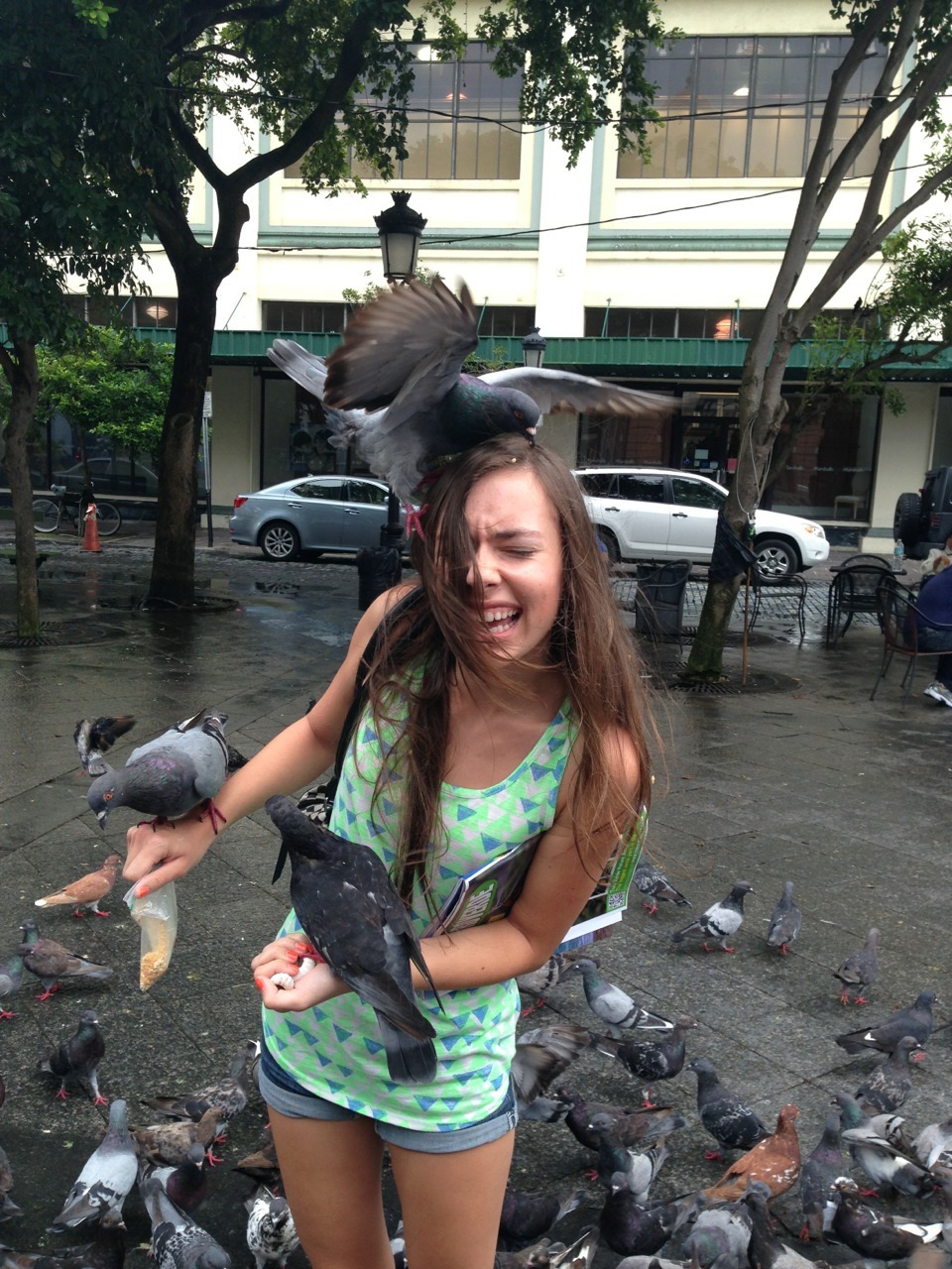 allcheckeredout:  my brother in law threw pigeon food on me aw 