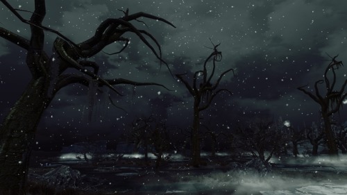 belmontswhip: Dark Forests of Skyrim version 2 (WIP) I started working on this back in January but g