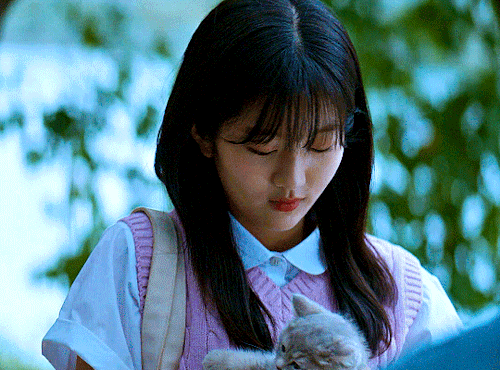 TWINKLING WATERMELON (2023)I Was Worried You'd Be Bored Alone. I Made Sure To Pick Out A Kitty That Looked