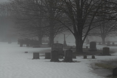 Fog&Rain By Jay Cross