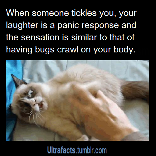 ultrafacts:  Source For more posts like this, CLICK HERE to follow Ultrafacts 