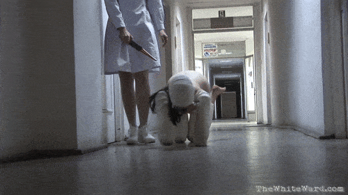 littlepuppygirl:3-holes-2-tits:And now it seems there is even institutional training to become a pet