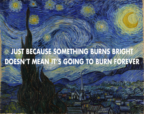 Vincent Van Gogh, Starry Night x Plastic Flowers, The Front Bottoms