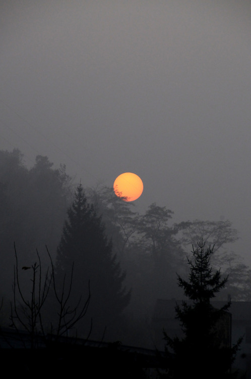 c0caino:  by radiofreccia64